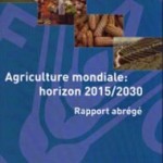 Amélioration des sols par l’agriculture cyclique