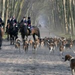 Attention, empêcher de chasser est puni d'une amende de 1 500 €