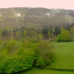 Environnement et patrimoine forestier