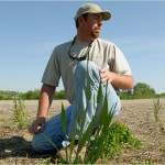 Les « mauvaises herbes » deviennent résistantes au Roundup.