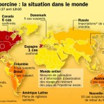 web-grippe-monde-270413303